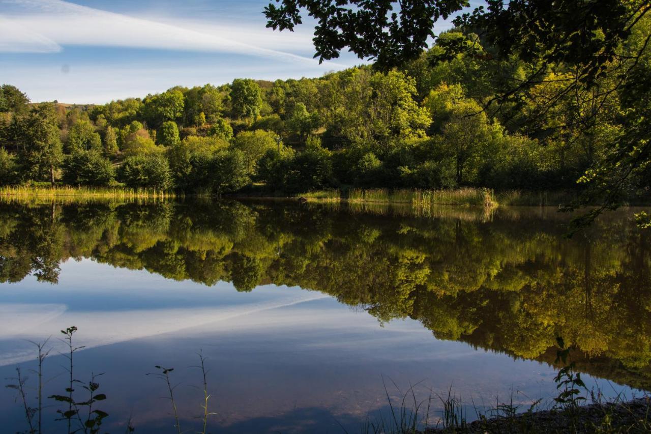 Le Lac Des Moines Condat  Dış mekan fotoğraf