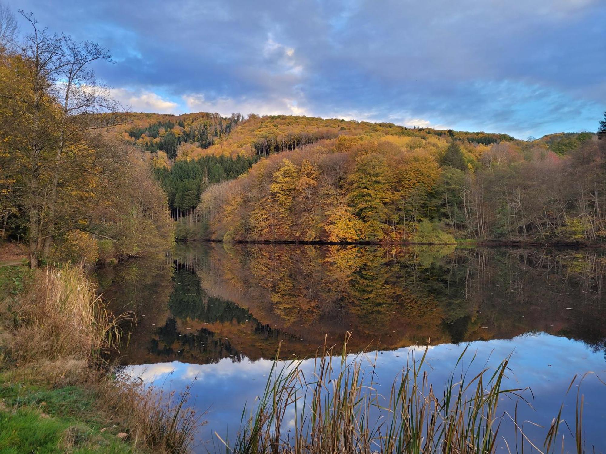 Le Lac Des Moines Condat  Dış mekan fotoğraf
