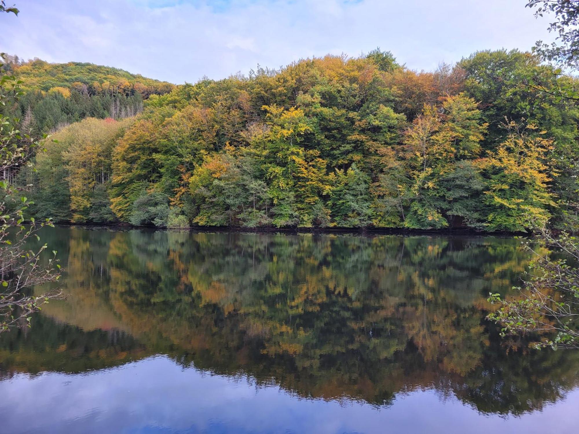 Le Lac Des Moines Condat  Dış mekan fotoğraf