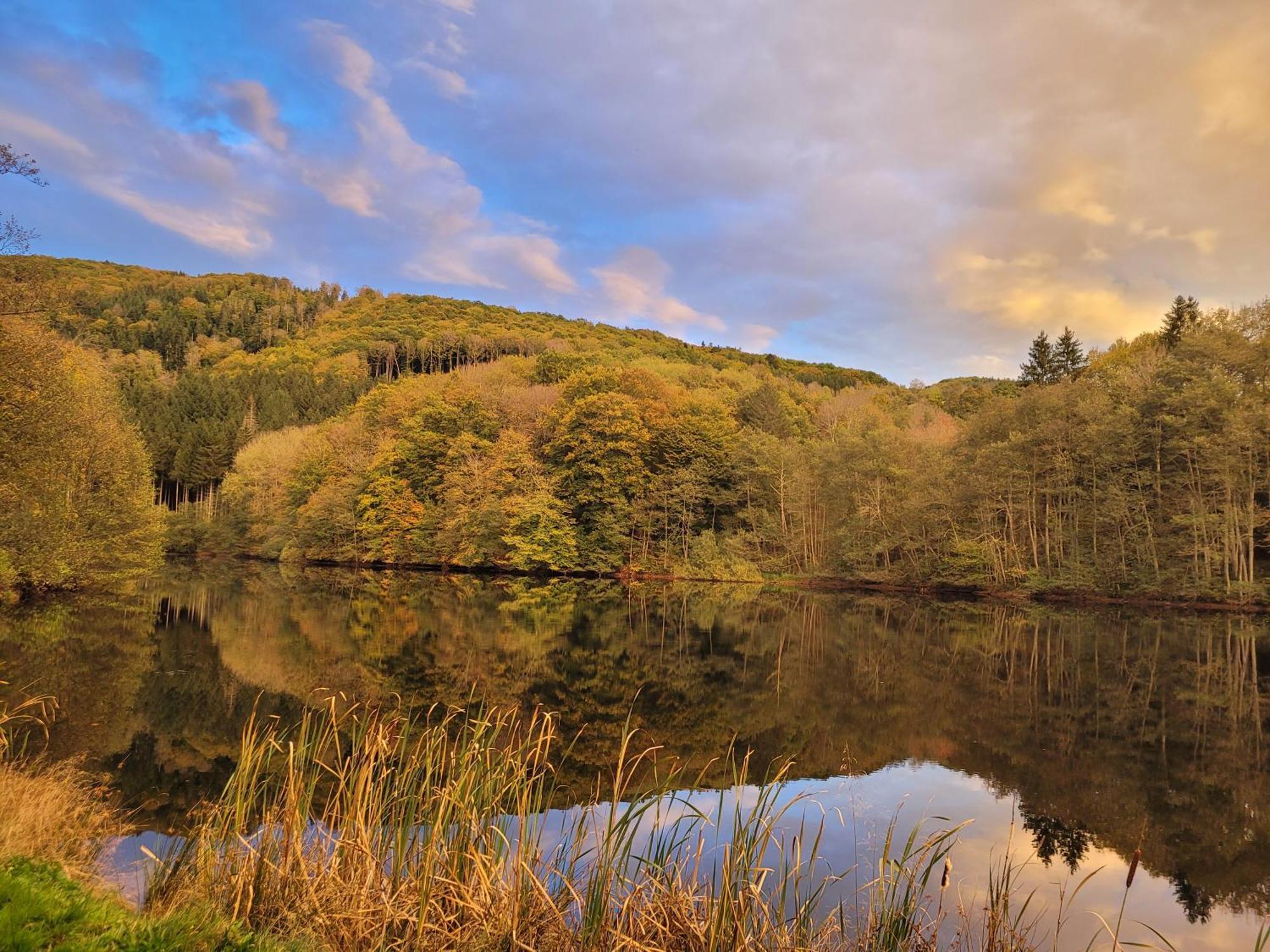 Le Lac Des Moines Condat  Dış mekan fotoğraf