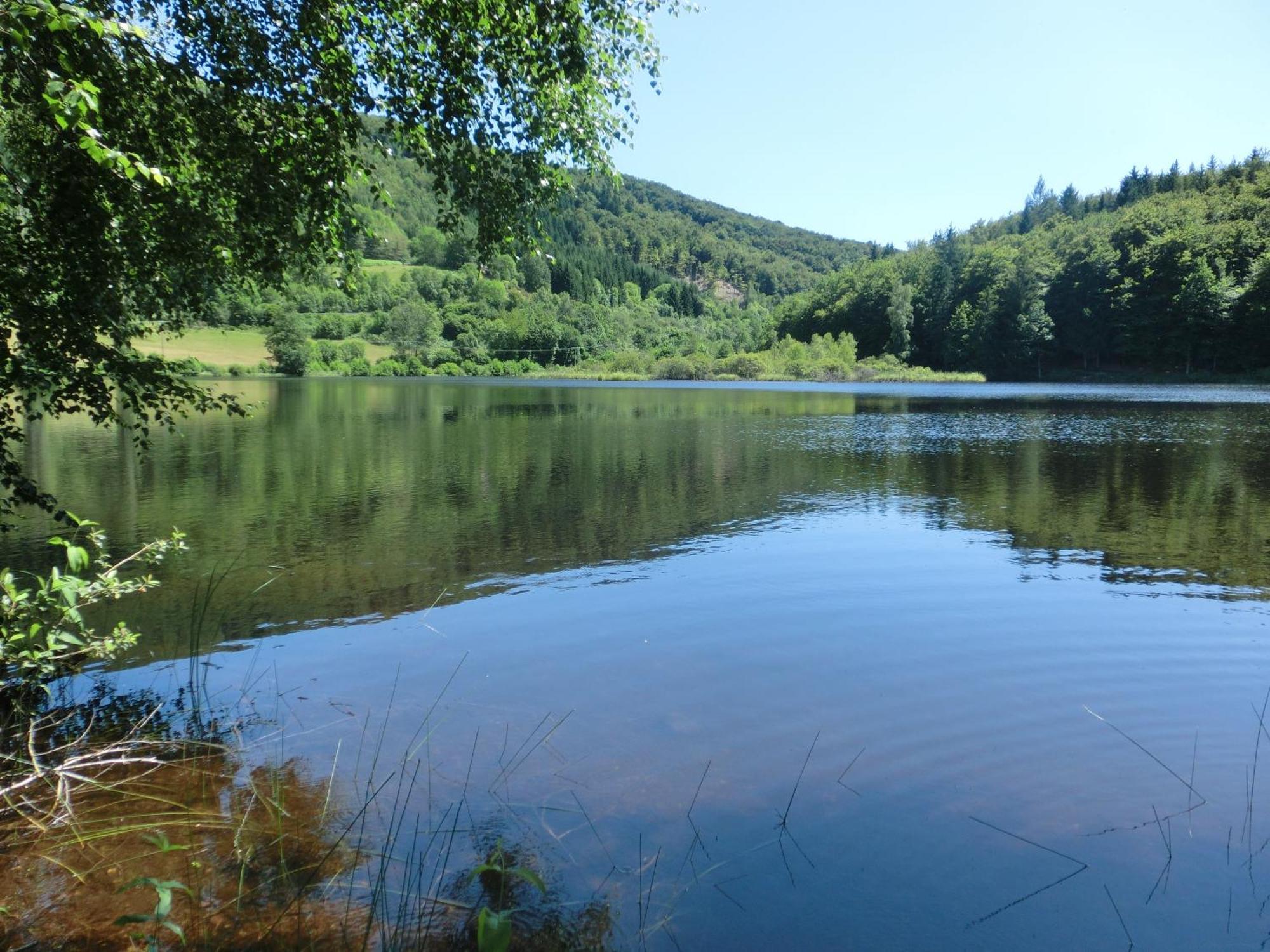Le Lac Des Moines Condat  Dış mekan fotoğraf