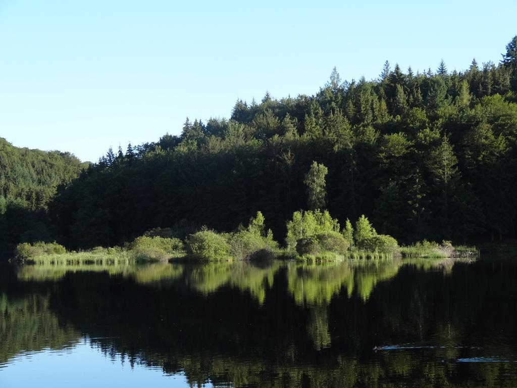 Le Lac Des Moines Condat  Dış mekan fotoğraf