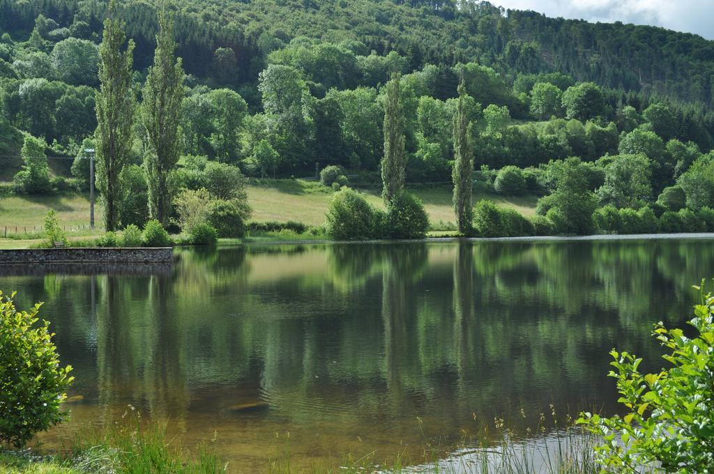 Le Lac Des Moines Condat  Dış mekan fotoğraf
